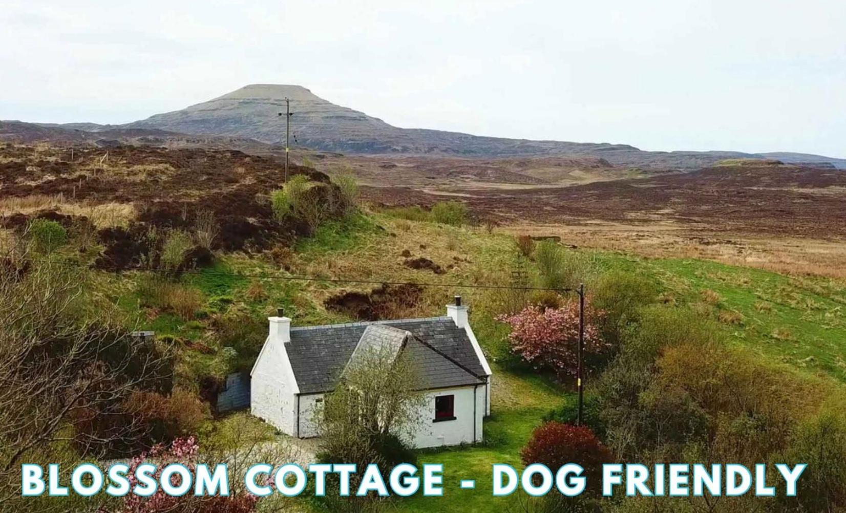 Araucaria Croft Skye Villa Dunvegan  Exteriör bild
